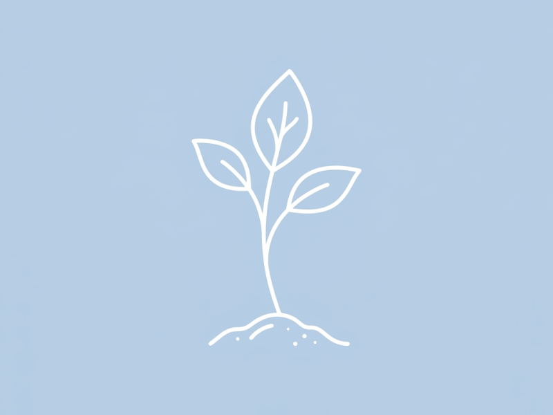 how to write character growth in five steps&nbsp;🌱